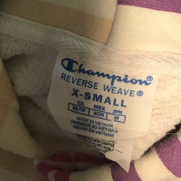 Champion UO Striped Cropped Reverse Weave Hoodie XS - Picture 12 of 12